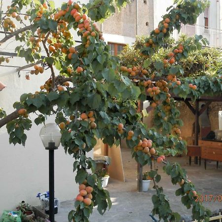 B&B Palazzo L'Occaso Castrovillari Kültér fotó