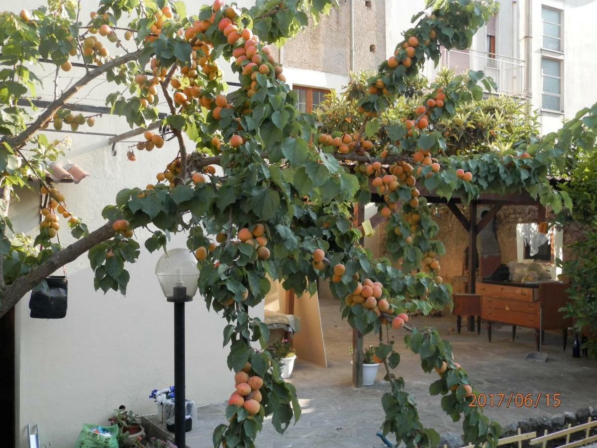 B&B Palazzo L'Occaso Castrovillari Kültér fotó